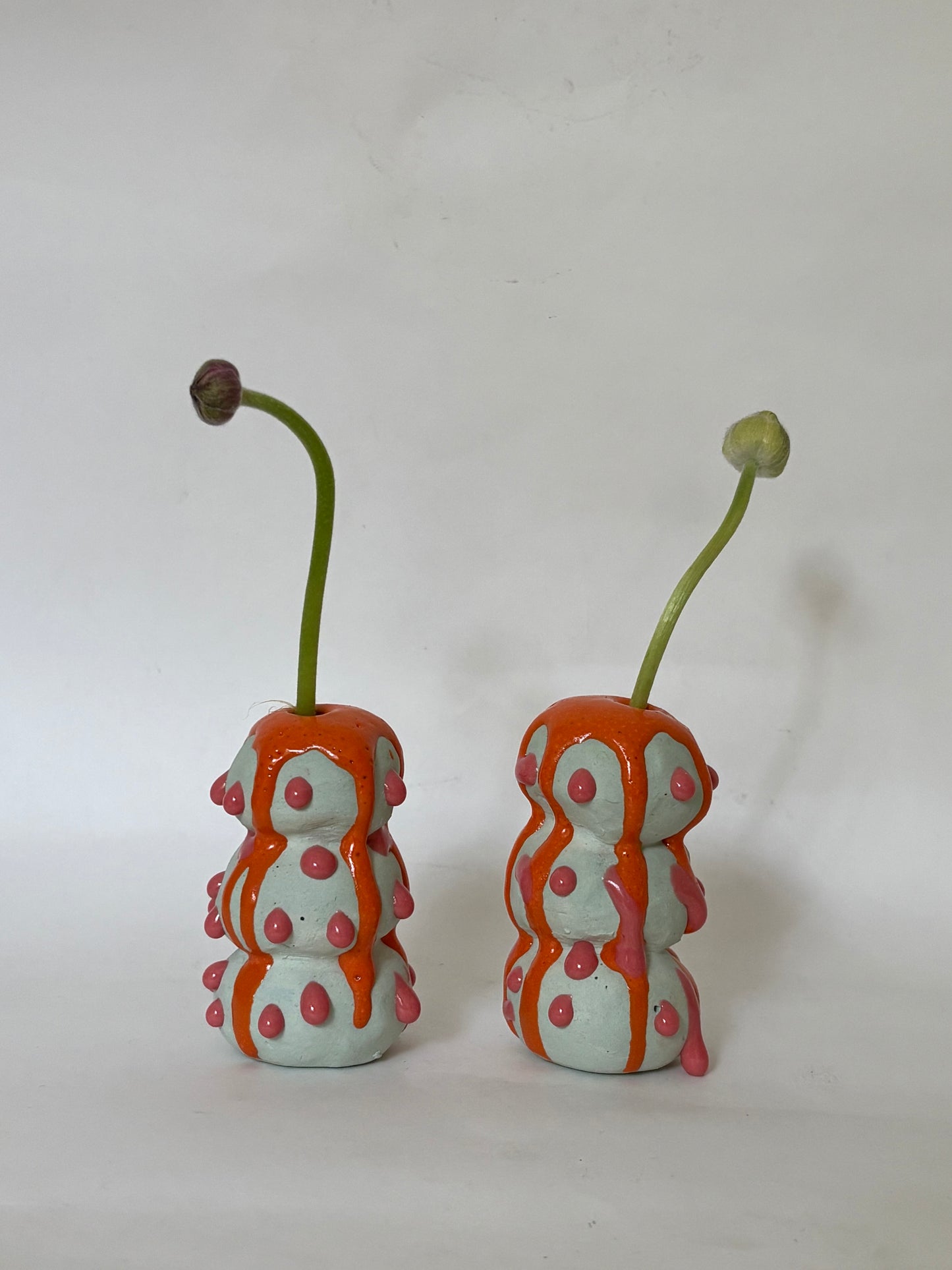 ORUGA MINI