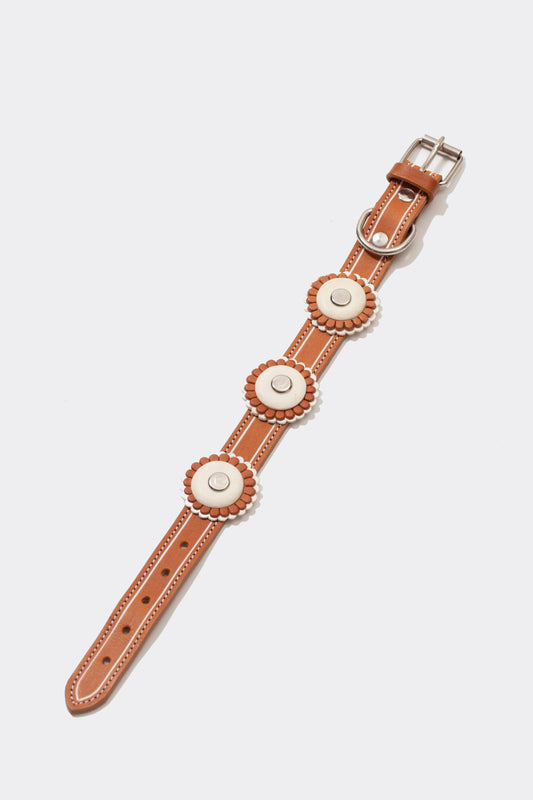 TAN DOG COLLARS