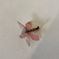 ORCHID PIN