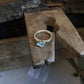 TRANSVERSA RING