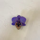 ORCHID BUTTON