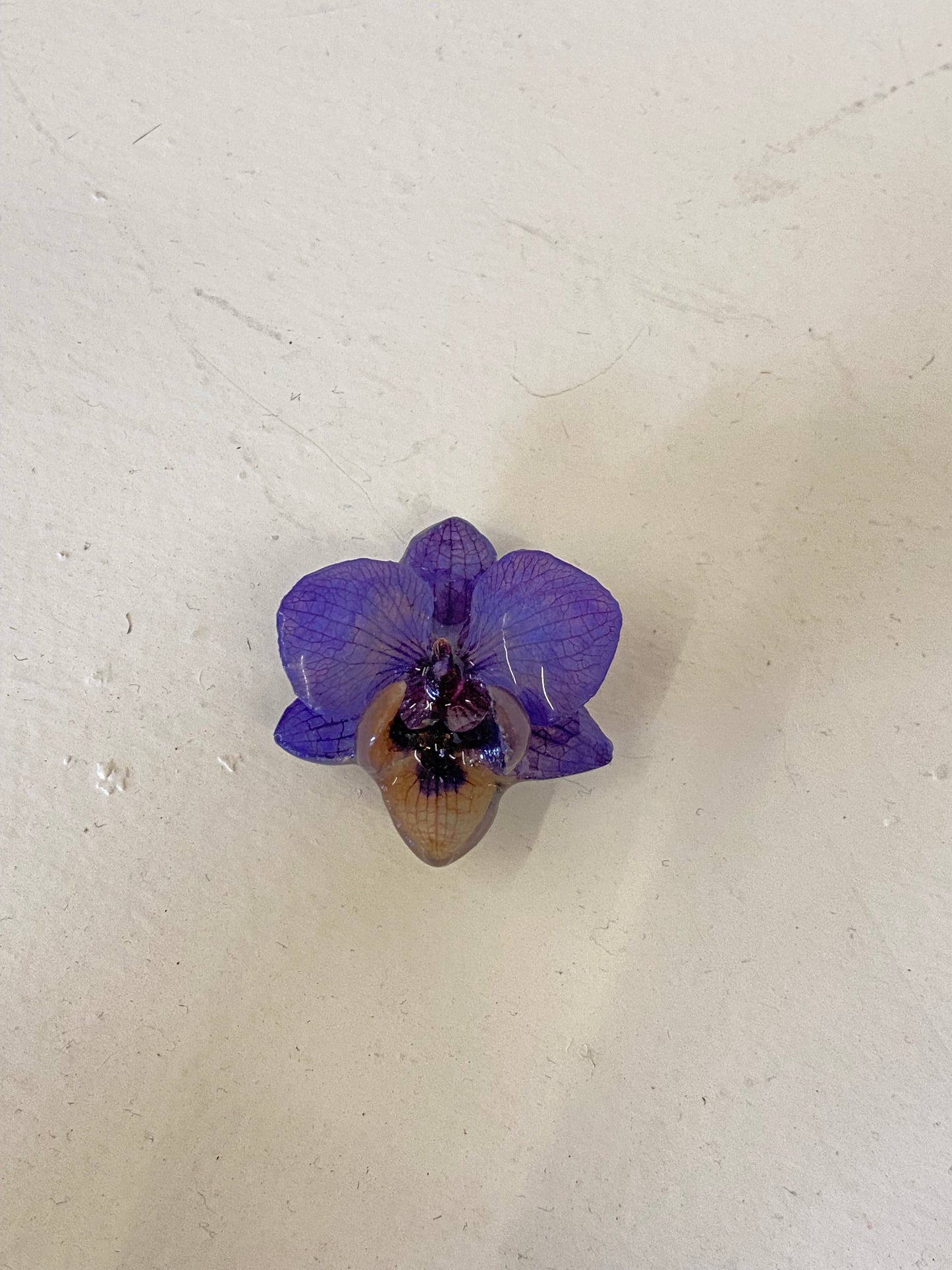 ORCHID BUTTON