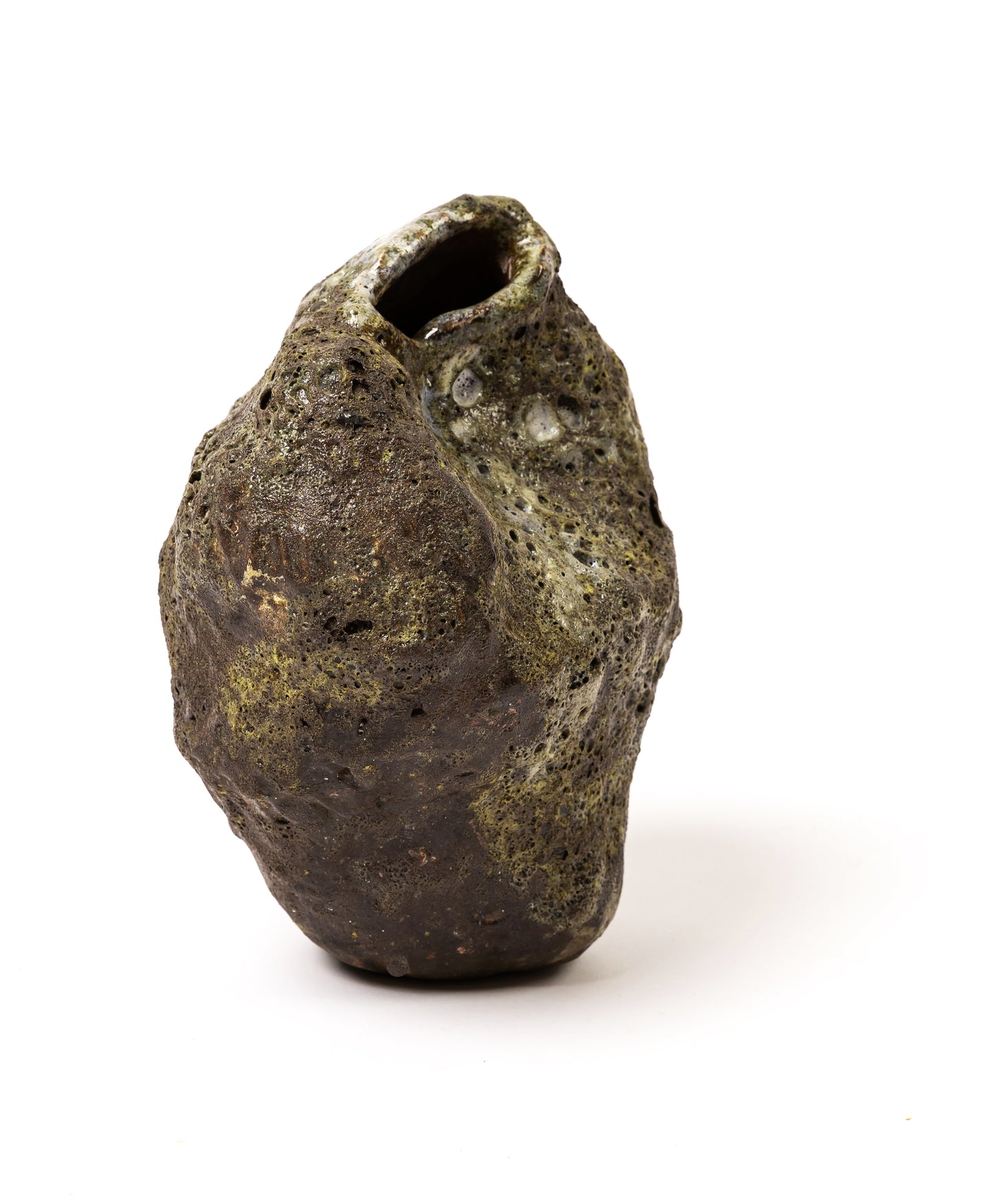SEMILLA DEL MALPAÍS