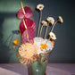 FLORERO LUNAR