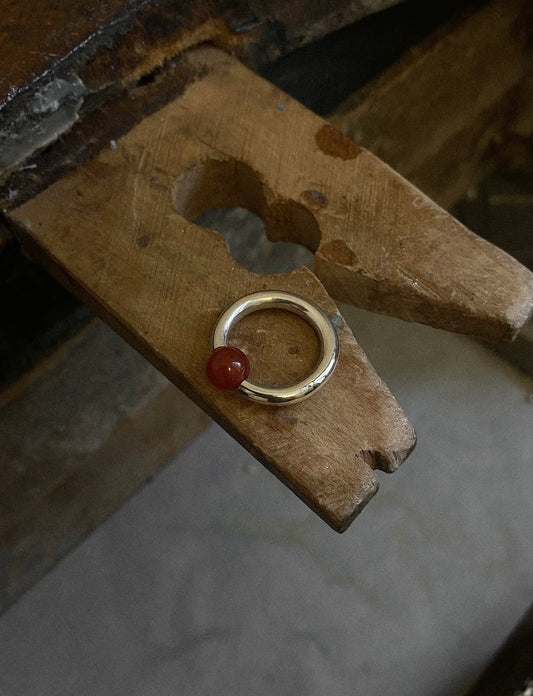 ANILLO 01