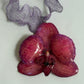 ORCHID NECKLACE - PINK PANTERA