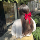 HAIR RIBBON