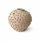 MOON JAR PINK
