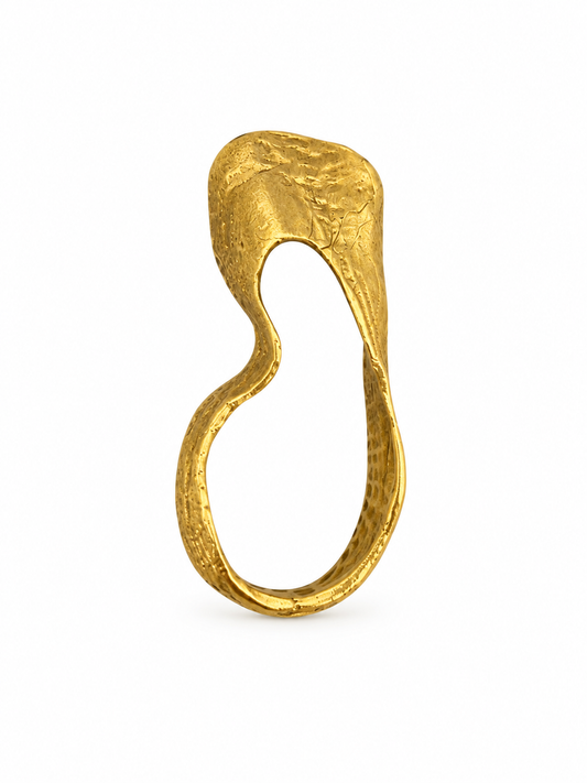 ANILLO MERIDIANO ONDULADO