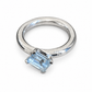 TRANSVERSA RING