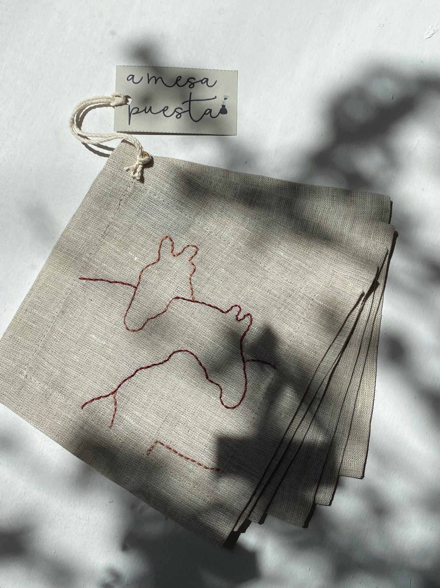 COASTERS CABALLOS