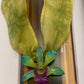 GREEN ORCHID SILK NECKLACE